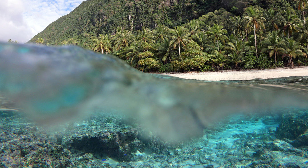 Using Data Analysis  to Protect Reefs