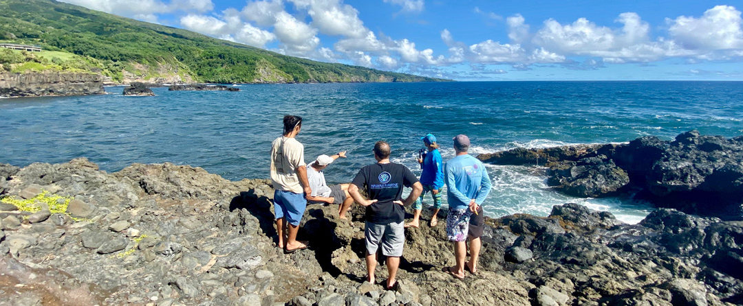 A Community Unites to Save Its Reef