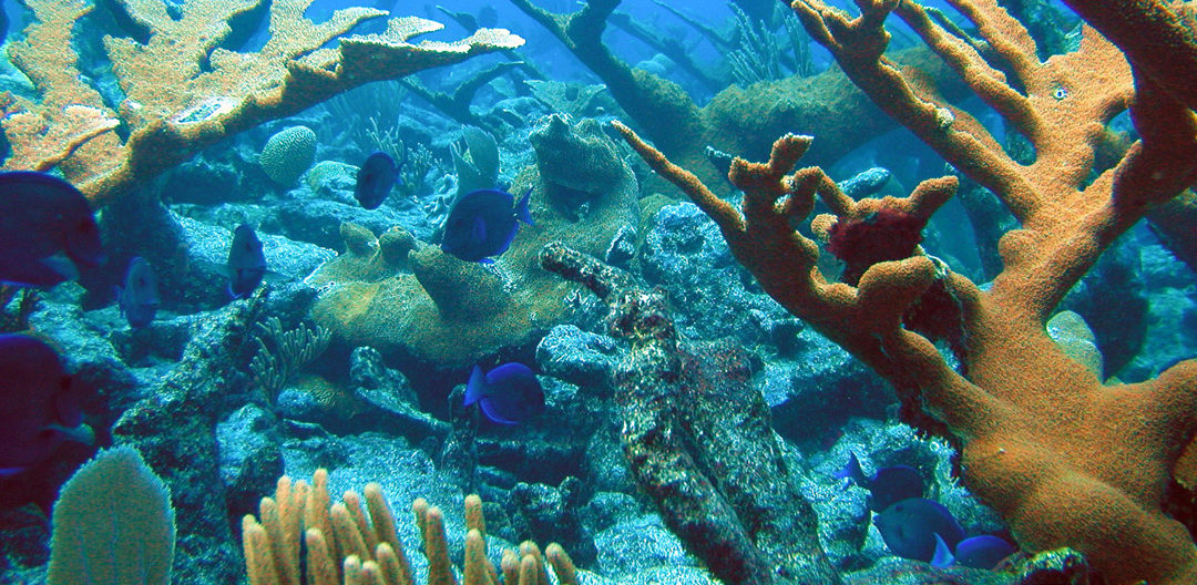Enhancing Resource Management through  Technology and Engagement of  Fishers