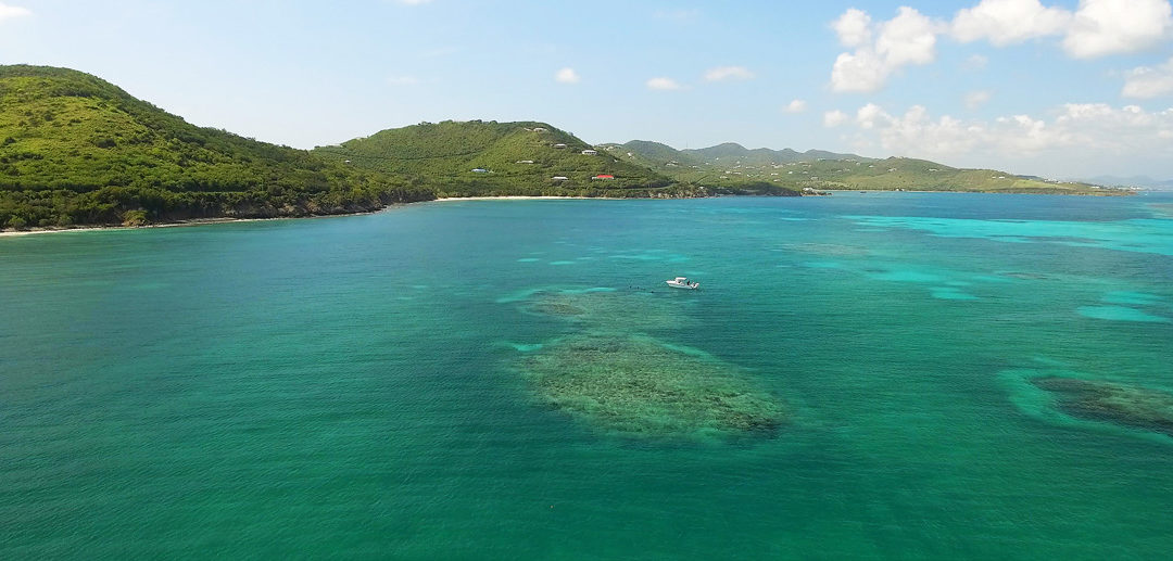 Empowering Citizen Scientists to Protect Reefs
