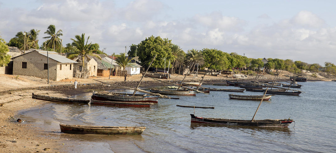 Using Art to  Protect Reefs in Puerto Rico